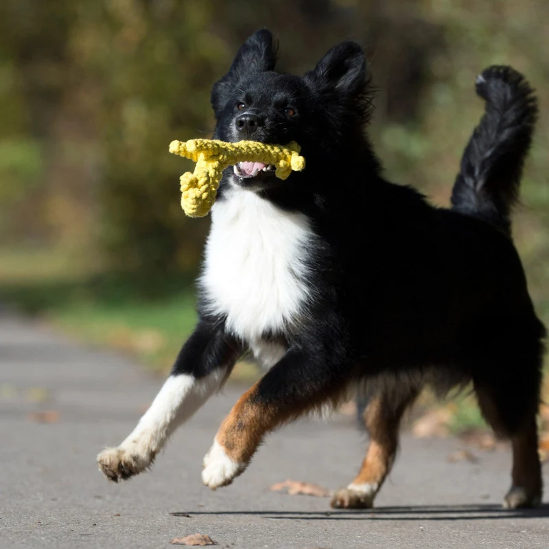 Laboni Big Wildlife Dog Toy Set