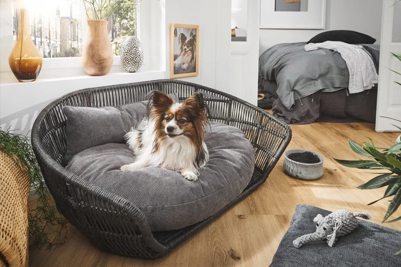 Laboni Luna Lounge Set Tudor Orthopaedic Dog Bed