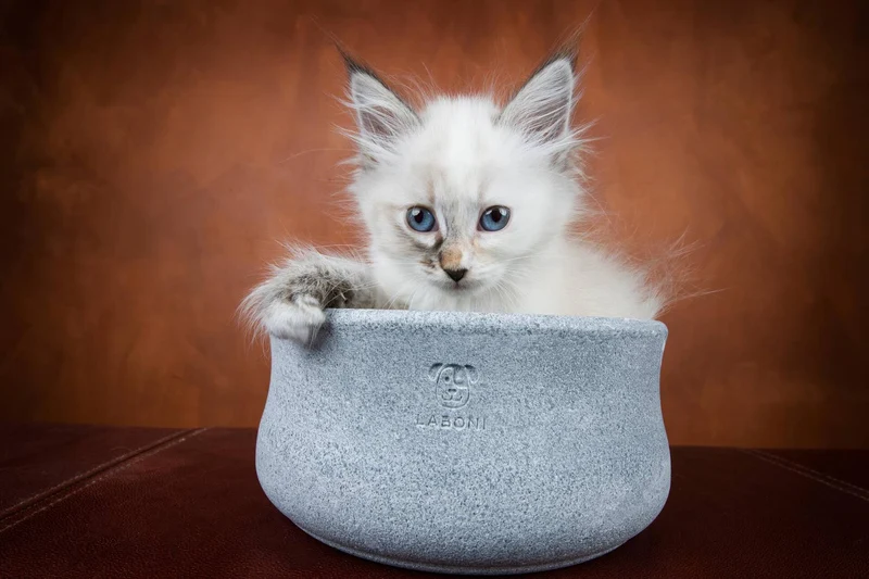 Laboni Soapstone Pet Bowl Rocky | Self Cooling