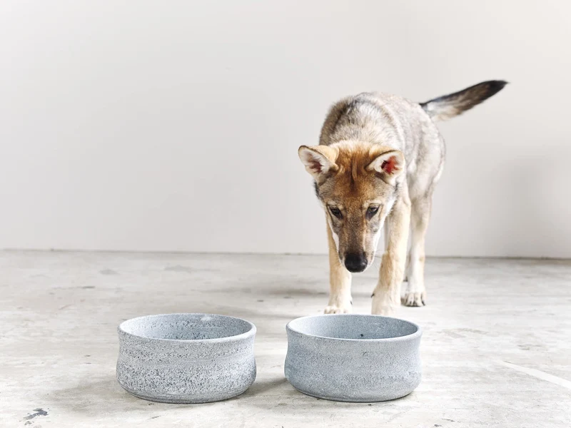Laboni Soapstone Pet Bowl Rocky | Self Cooling