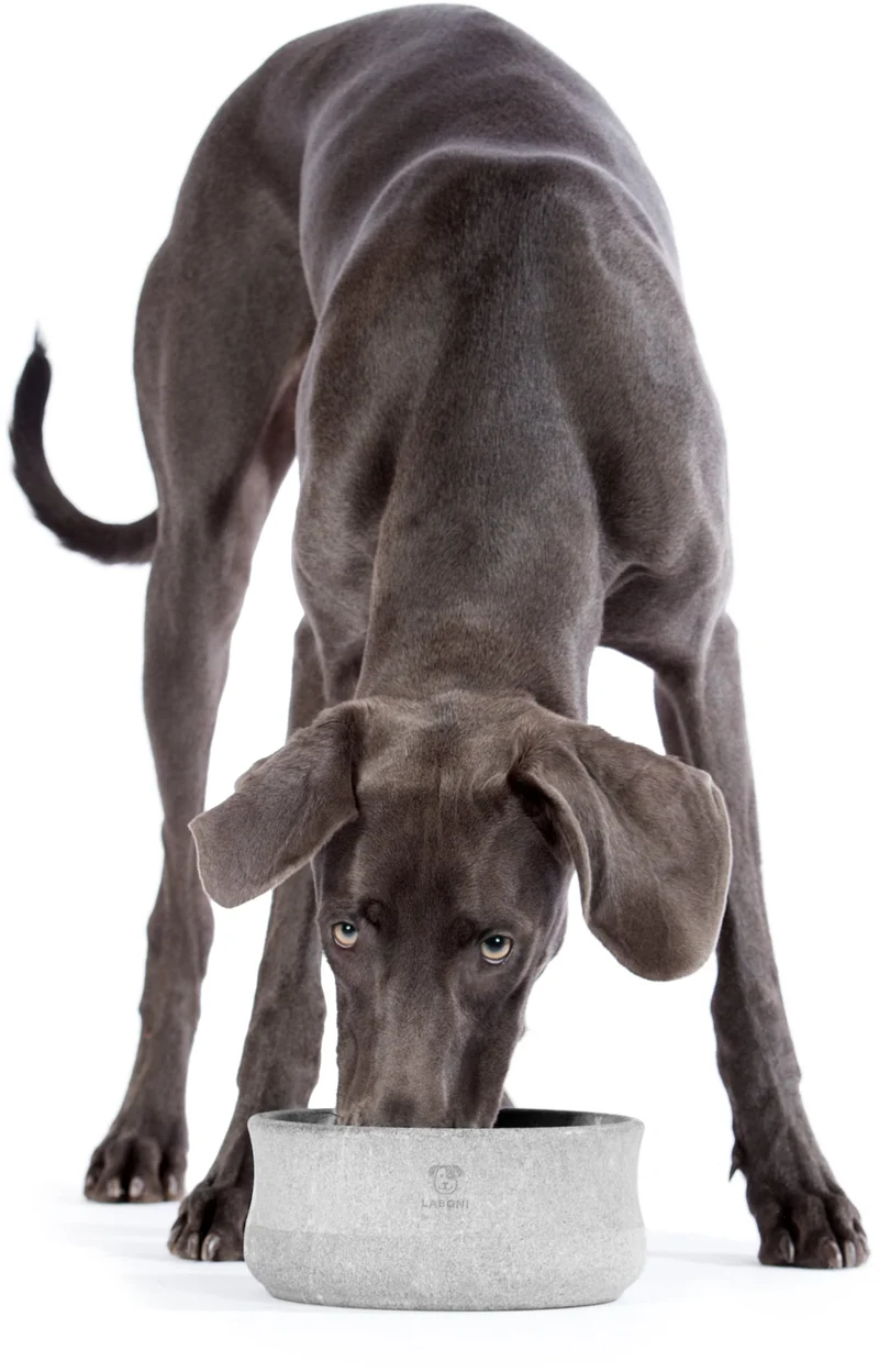 Laboni Soapstone Pet Bowl Rocky | Self Cooling