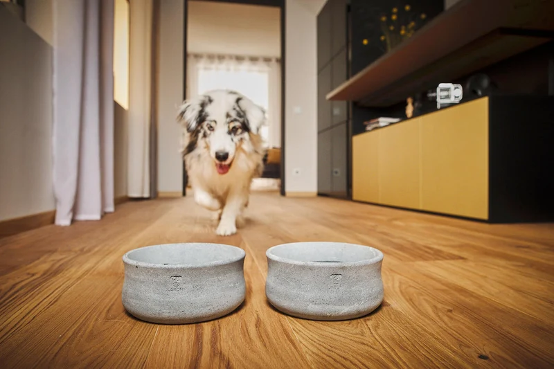 Laboni Soapstone Pet Bowl Rocky | Self Cooling