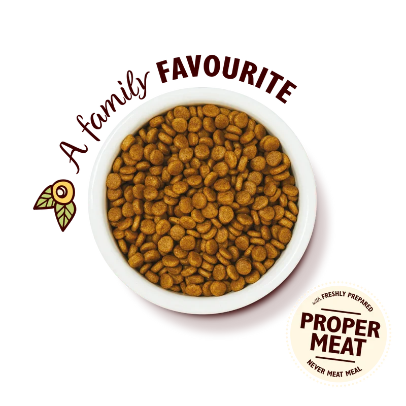 Lily's Kitchen Chicken & White Fish Kitten Dry Food
