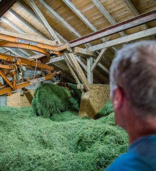 Samerberger Alpine Hay for Small Pets