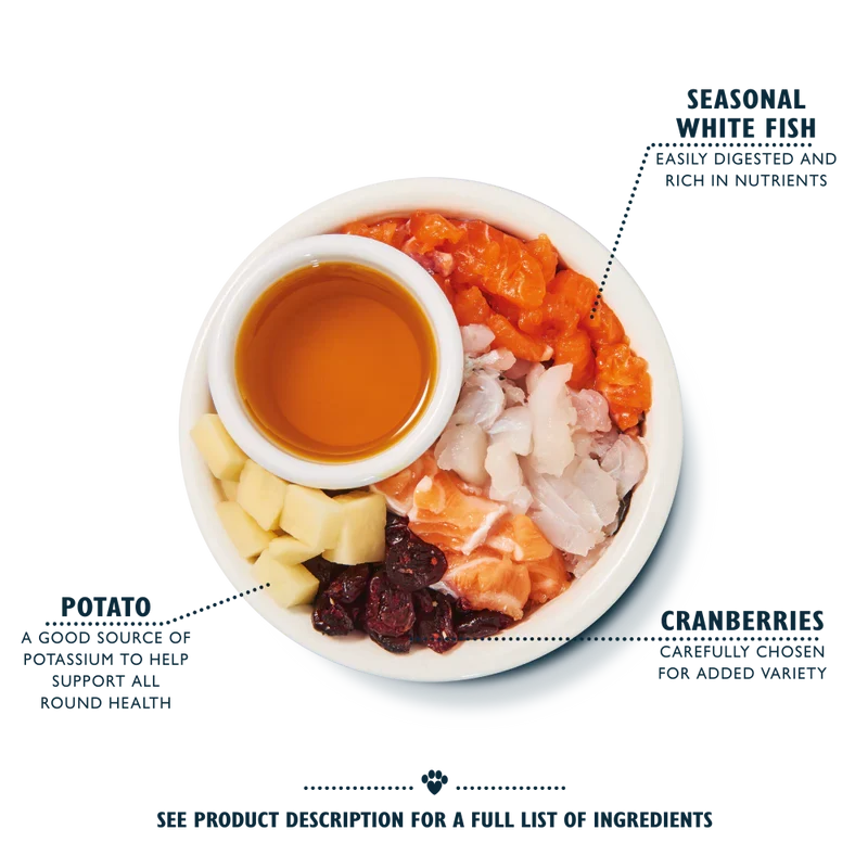 Lily's Kitchen Fisherman's Feast White Fish & Salmon Dry Cat Food