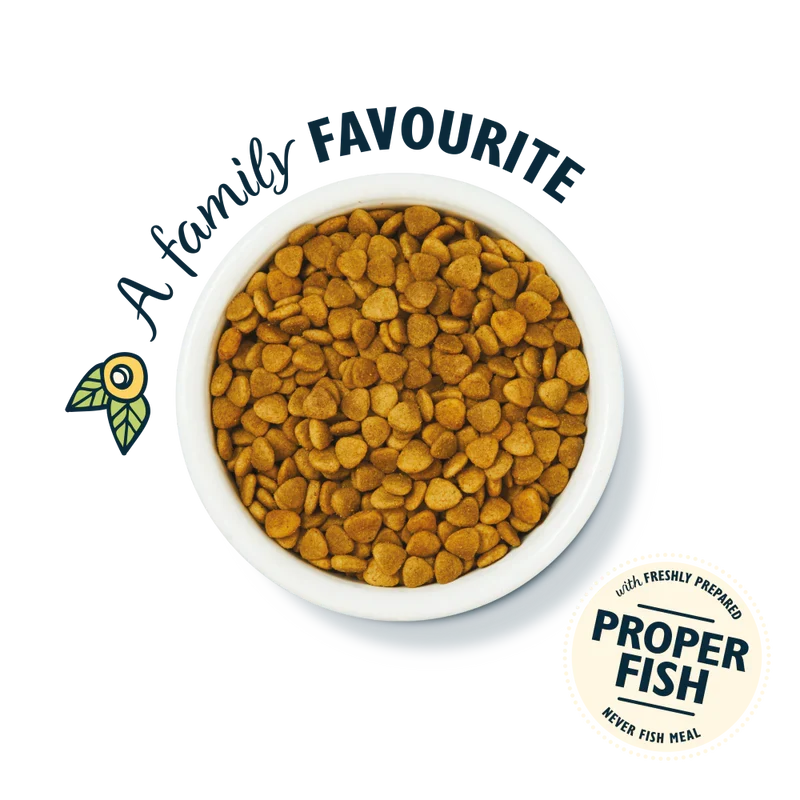 Lily's Kitchen Fisherman's Feast White Fish & Salmon Dry Cat Food
