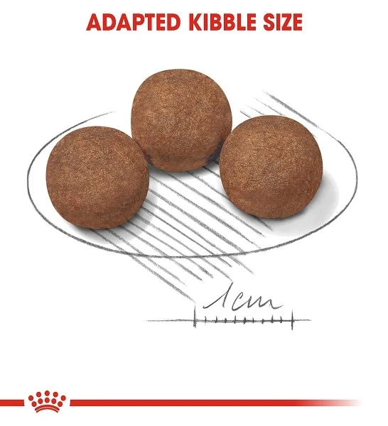 Royal Canin Medium Puppy Dry Food