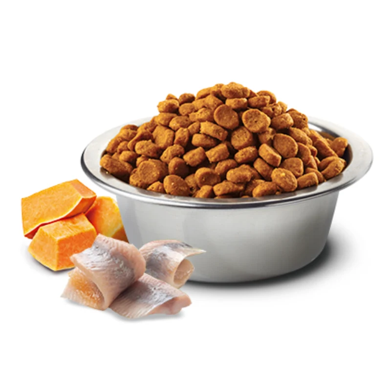 Farmina N&D Ocean Herring Pumpkin & Orange Adult Dry Cat Food