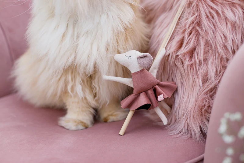 Oh Charlie Cat Toy