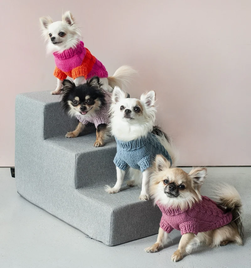 Oh Charlie Dog Sweater NeonRush