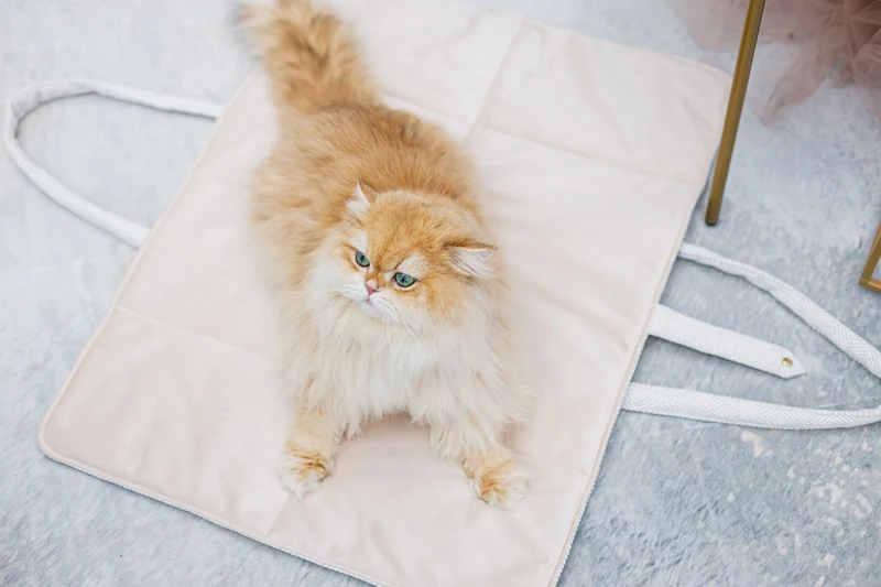 Oh Charlie Dog Travel Mat Florence