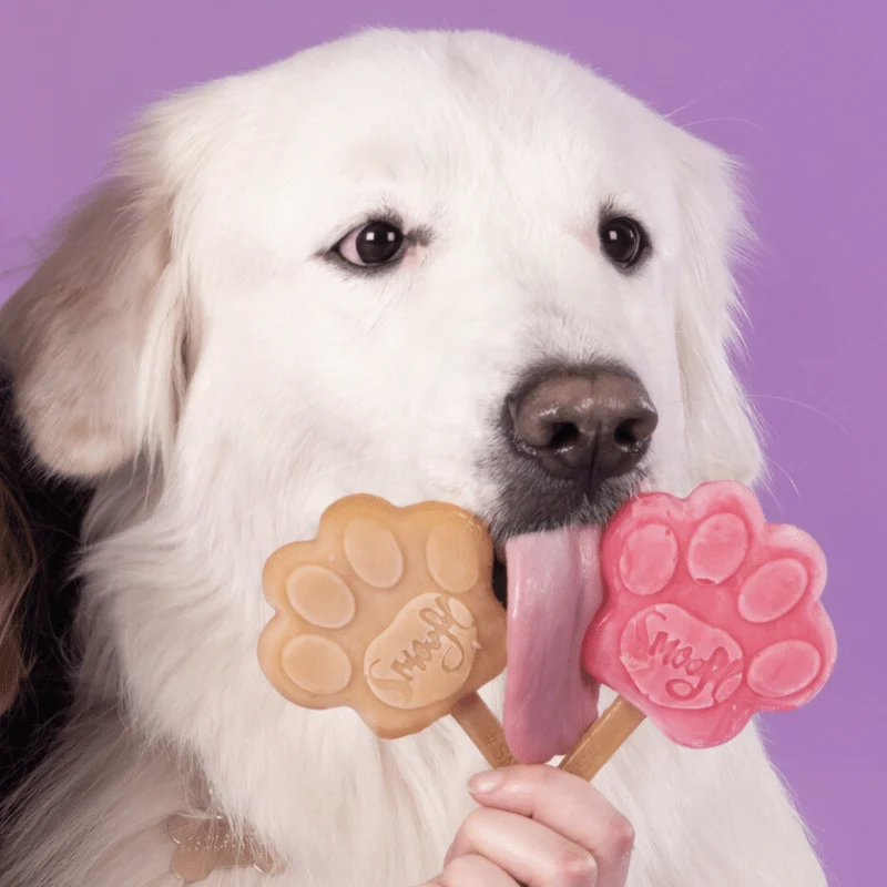 Smoofl Extra Small Starter Kit for Dog Ice Treats - 210G