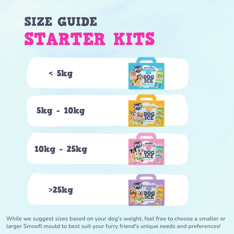 Smoofl Extra Small Starter Kit for Dog Ice Treats - 210G