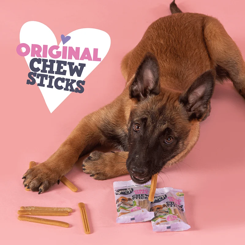 Smoofl Original Chew Sticks Dog Treat - 10PCS