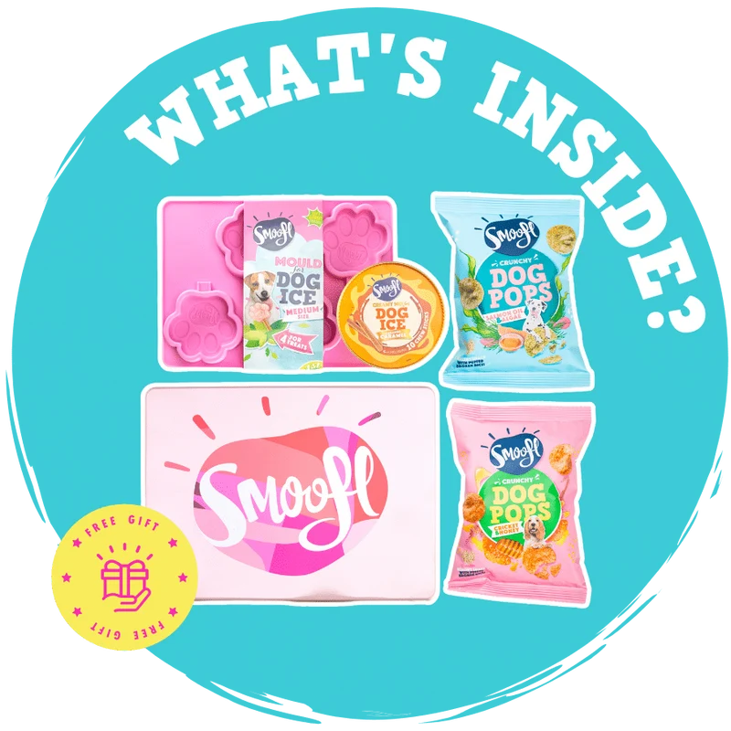 Smoofl Gift Box (2 Dog Pops + Creamy Mix + Medium Mould)