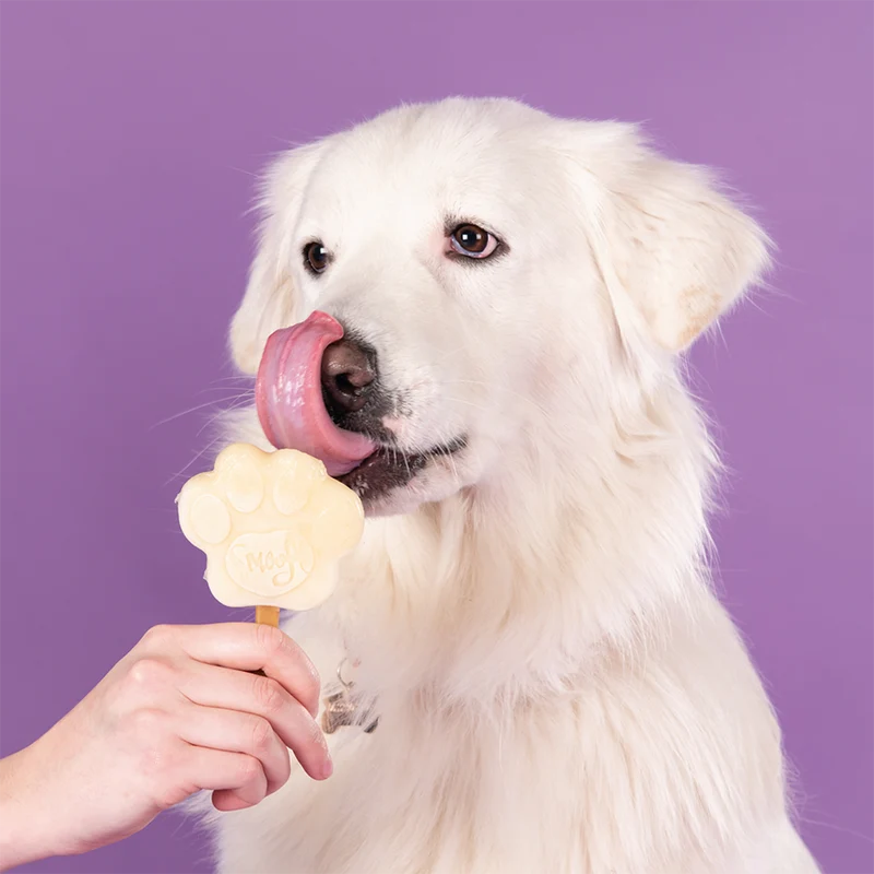 Smoofl Banana Mix for Dog Ice with 10pcs Chew Sticks - 105G