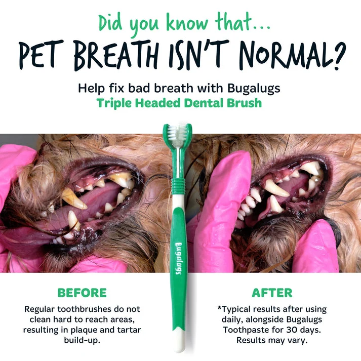Bugalugs Triple Headed Toothbrush For Dogs & Cats 2PCS