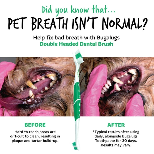 Bugalugs Double Ended Toothbrush for Dogs & Cats 2PCS