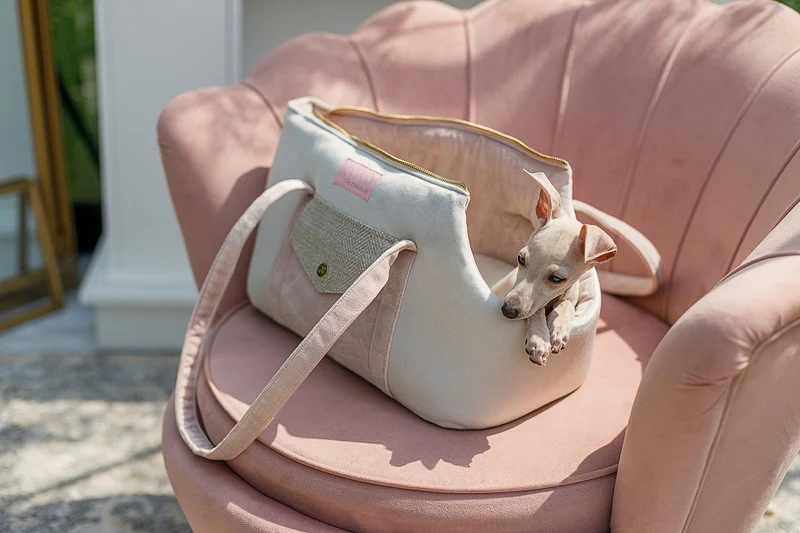 Oh Charlie Pet Carrier Essence