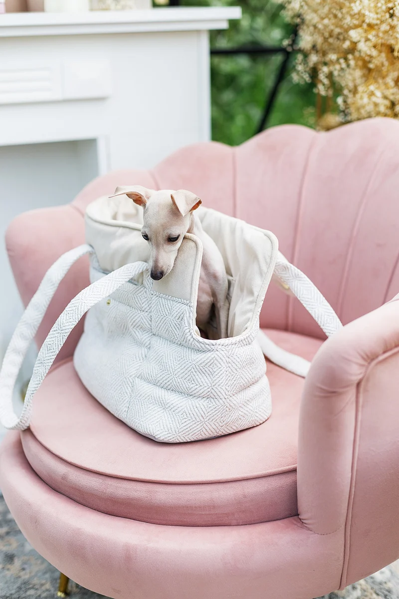 Oh Charlie Pet Carrier Florence