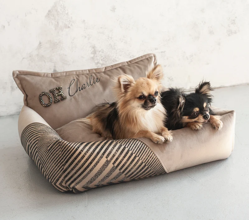Oh Charlie Square Dog Bed Devine
