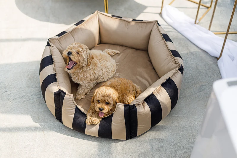 Oh Charlie Round Dog Bed Maison