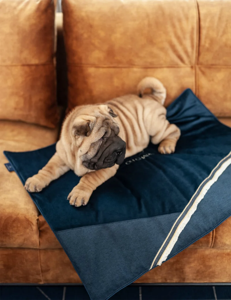 Oh Charlie Dog Travel Mat Allure