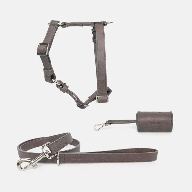 Neula Strength Vegan Leather Dog Harness Walk Set