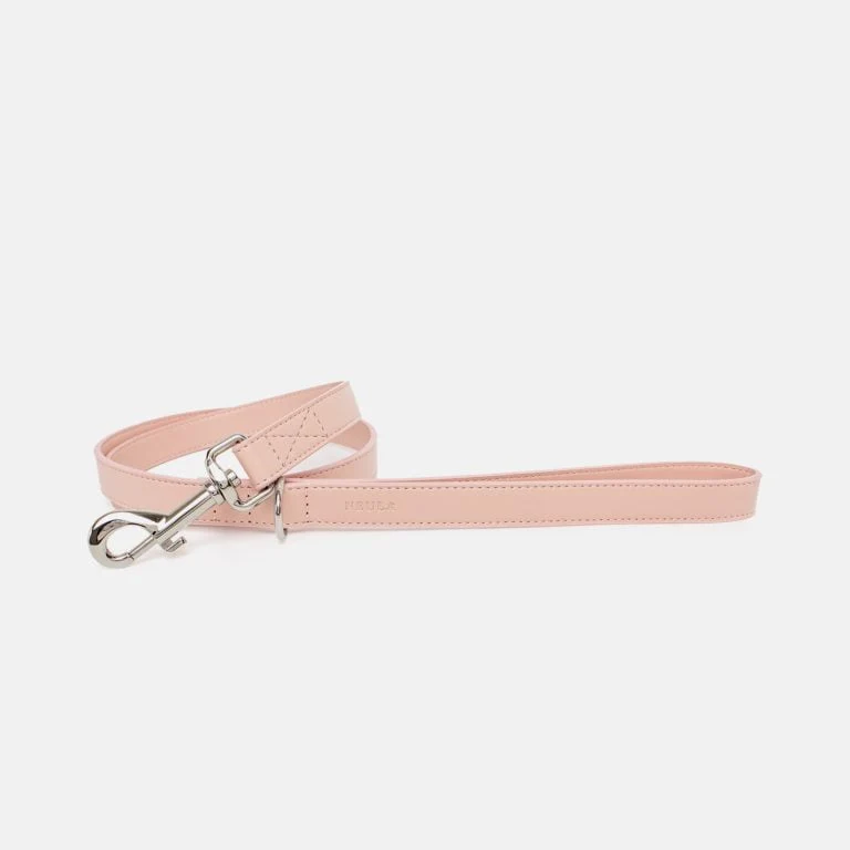 Neula Kindness Vegan Leather Dog Collar Walk Set