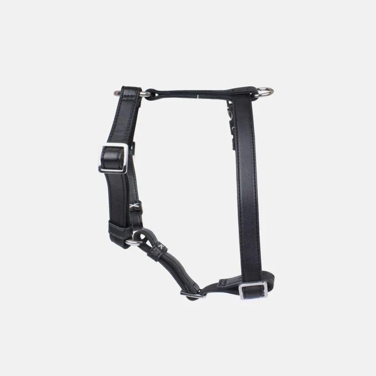 Neula Courage Vegan Leather Dog Harness Walk Set