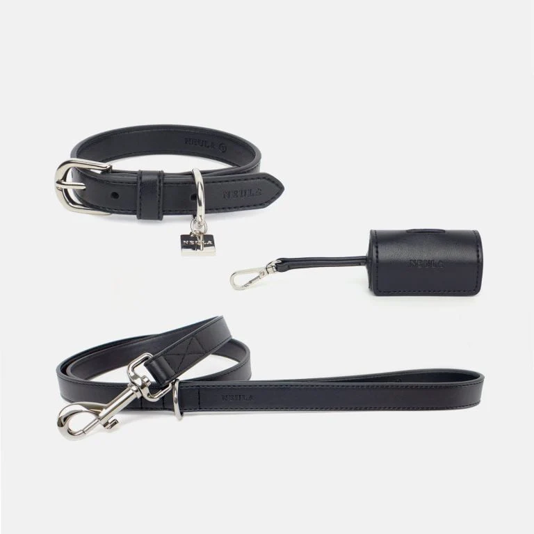 Neula Courage Vegan Leather Dog Collar Walk Set