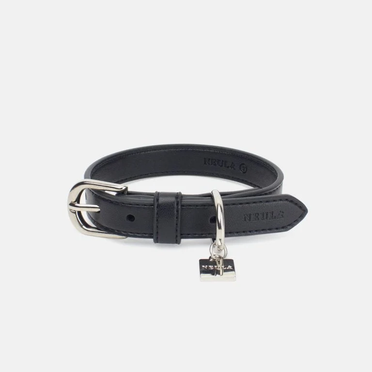 Neula Courage Vegan Leather Dog Collar Walk Set