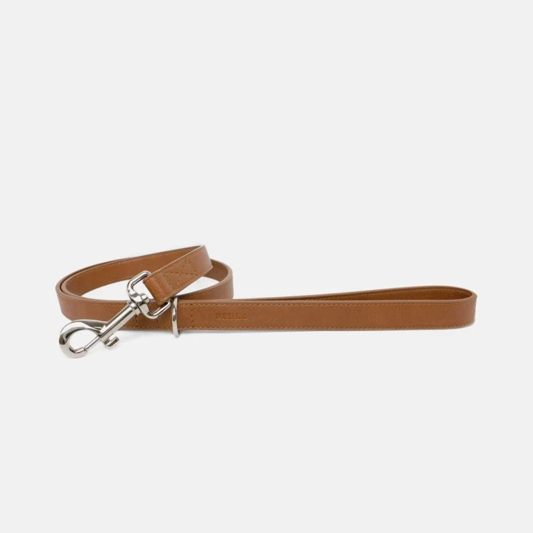 Neula Confidence Vegan Leather Dog Harness Walk Set