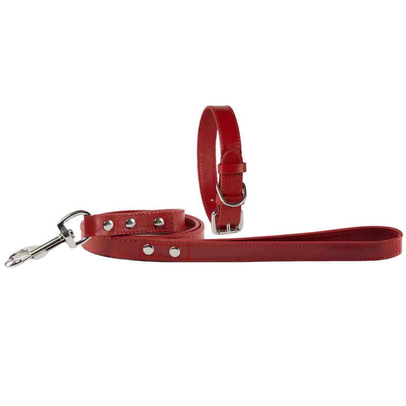 Baker & Bray Sustainable Leather Dog Collar & Lead Set | Rose