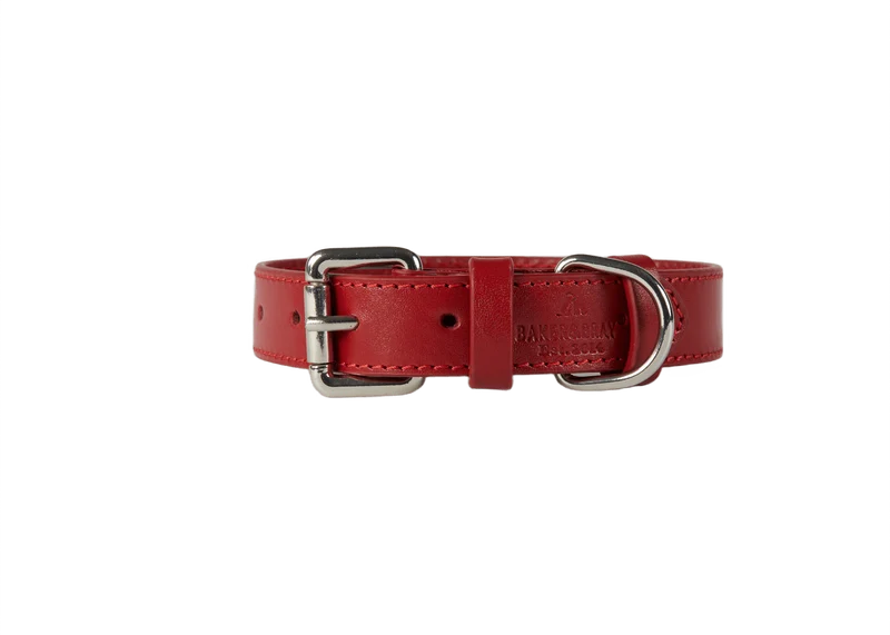 Baker & Bray Sustainable Leather Dog Collar & Lead Set | Rose