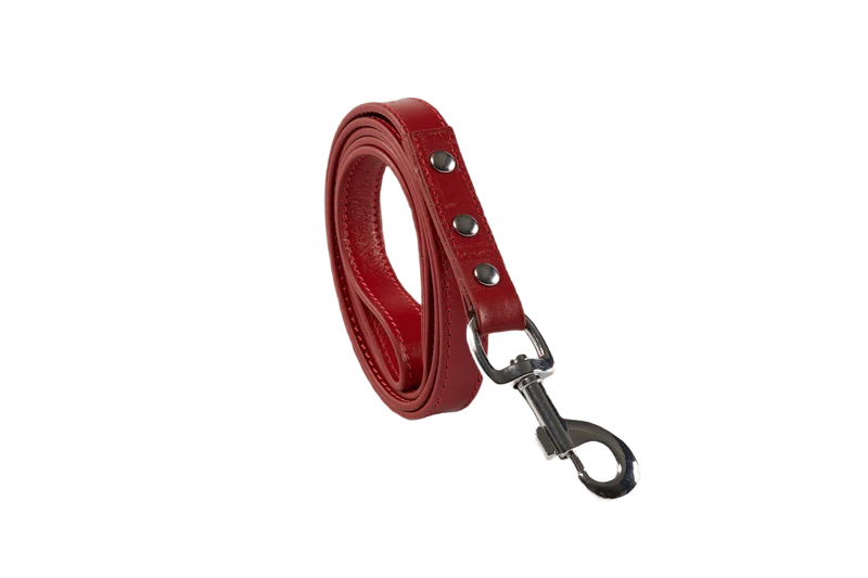 Baker & Bray Sustainable Leather Dog Collar & Lead Set | Rose