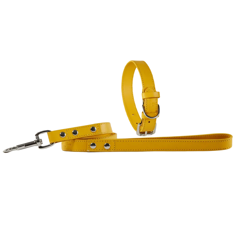 Baker & Bray Sustainable Leather Dog Collar & Lead Set | Lemon