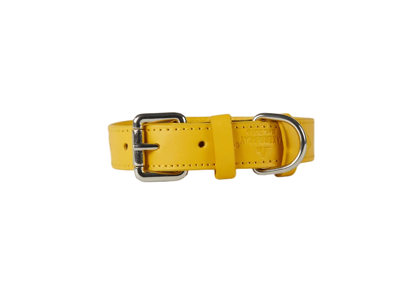 Baker & Bray Sustainable Leather Dog Collar & Lead Set | Lemon