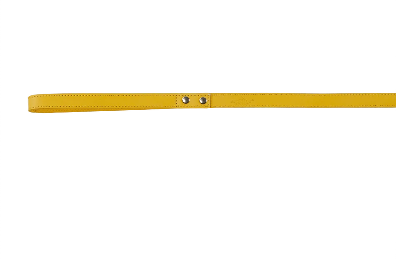 Baker & Bray Sustainable Leather Dog Collar & Lead Set | Lemon