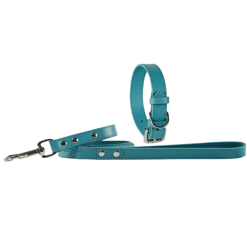 Baker & Bray Sustainable Leather Dog Collar & Lead Set | Lagoon