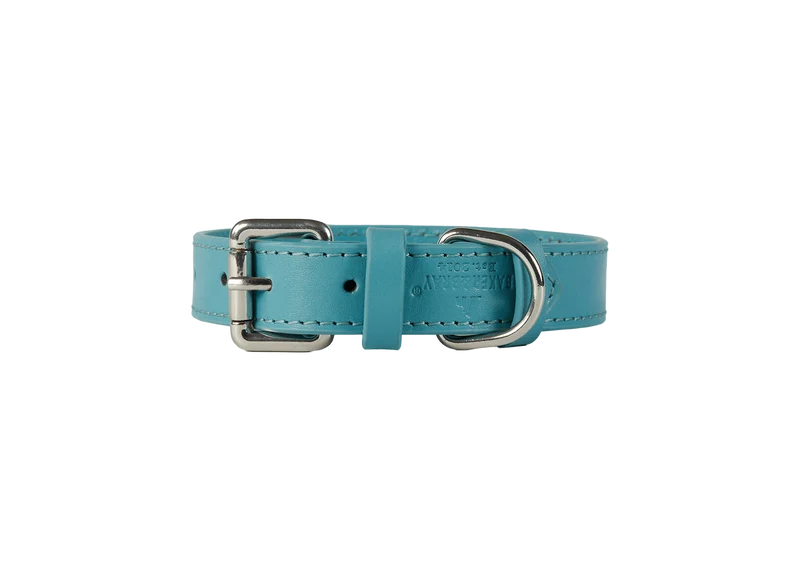 Baker & Bray Sustainable Leather Dog Collar & Lead Set | Lagoon