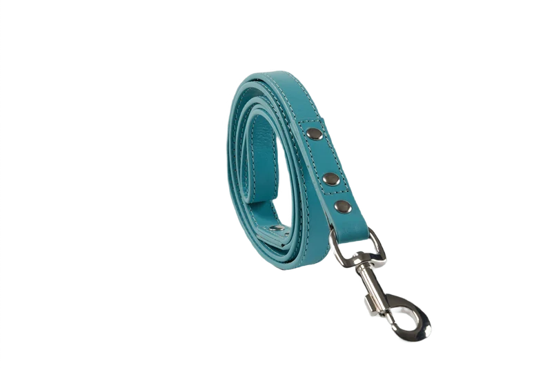 Baker & Bray Sustainable Leather Dog Collar & Lead Set | Lagoon