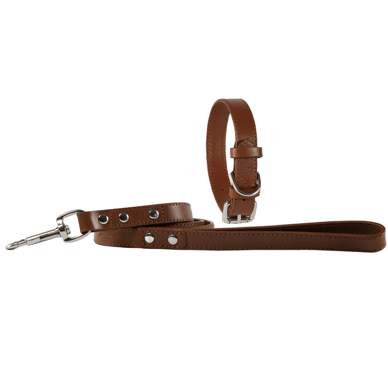 Baker & Bray Sustainable Designer Leather Dog Collar & Lead Set | Brown