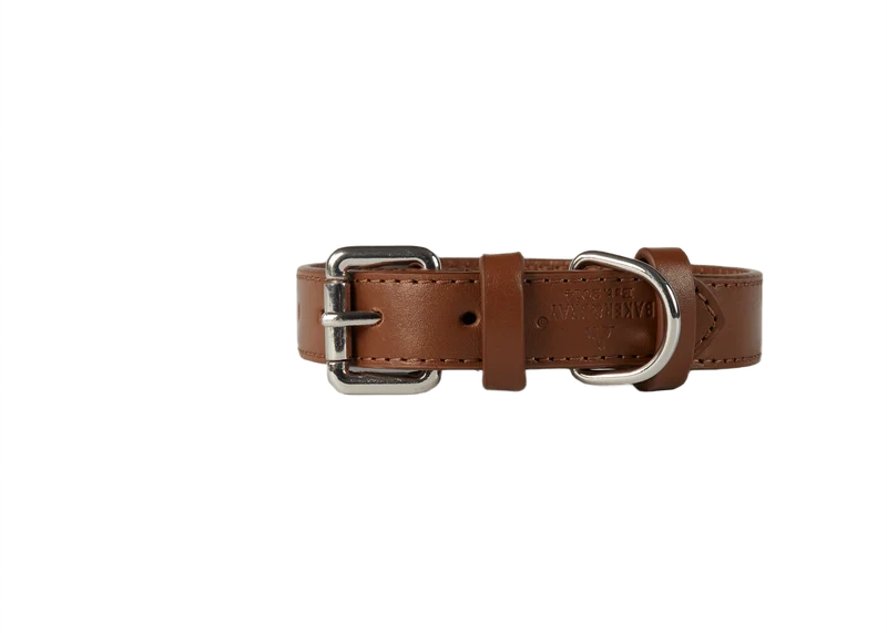 Baker & Bray Sustainable Designer Leather Dog Collar & Lead Set | Brown