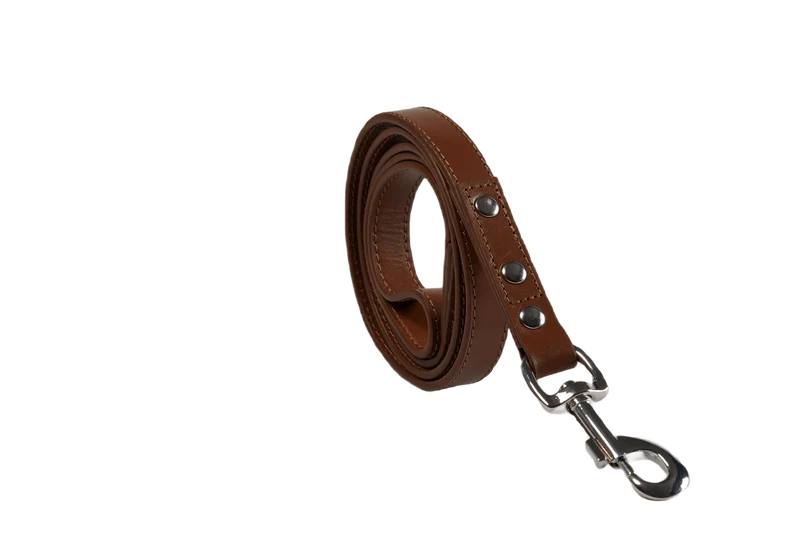 Baker & Bray Sustainable Designer Leather Dog Collar & Lead Set | Brown