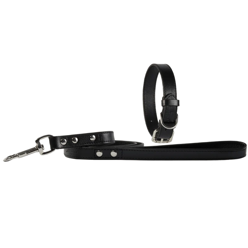 Baker & Bray Sustainable Leather Dog Collar & Lead Set | Black