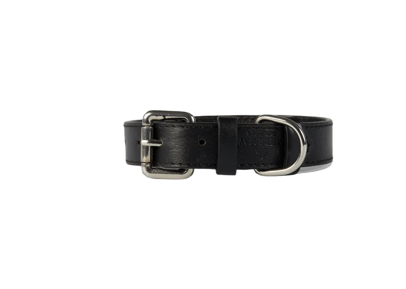 Baker & Bray Sustainable Leather Dog Collar & Lead Set | Black