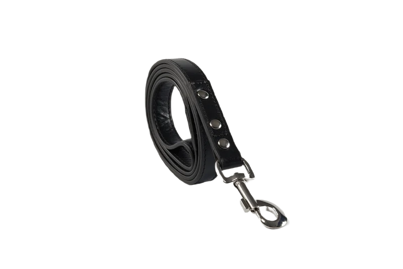 Baker & Bray Sustainable Leather Dog Collar & Lead Set | Black