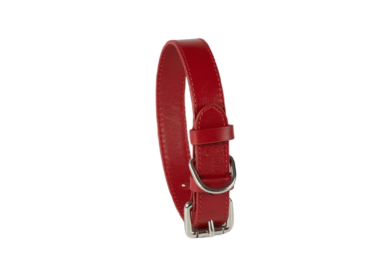 Baker & Bray Sustainable Leather Dog Collar | Rose