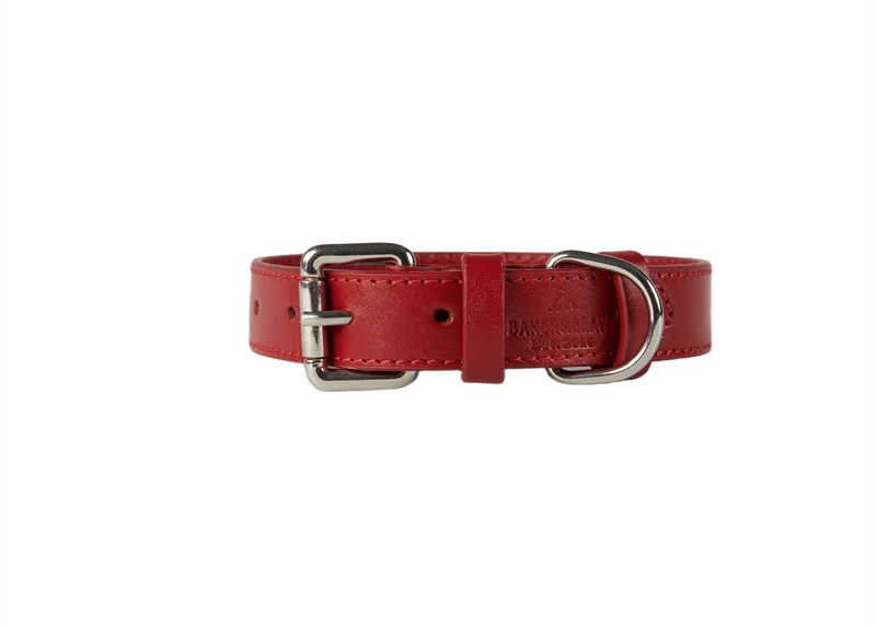 Baker & Bray Sustainable Leather Dog Collar | Rose
